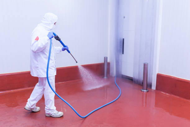 Reliable Florence, AL Pressure Washing Solutions